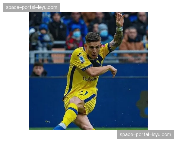 保级生死战前瞻:维罗纳与恩波利直接对话,负者将深陷降级区 保级生死战前瞻:维罗纳与恩波利直接对话,负者将深陷降级区